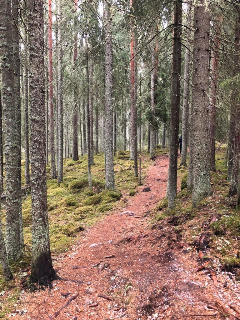 Retkivinkki 3: Heinisuo – Nummen Eränkävijät